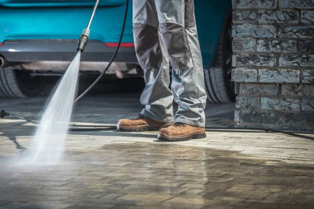 Best Roof Washing  in Robstown, TX