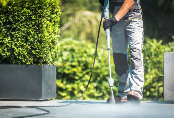 Best Building Exterior Washing  in Robstown, TX