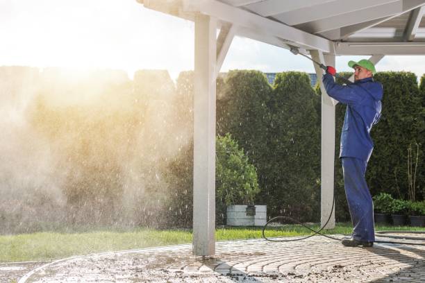 Best Animal Enclosure Cleaning  in Robstown, TX